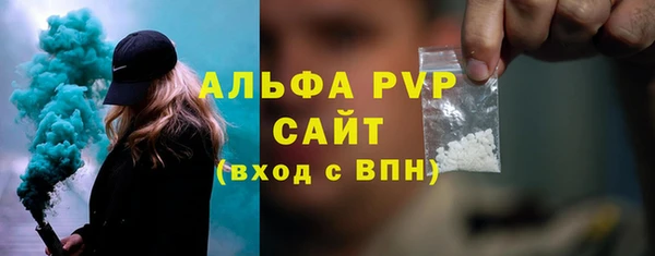 индика Тында