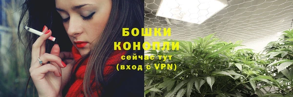 молекула духа Новочеркасск