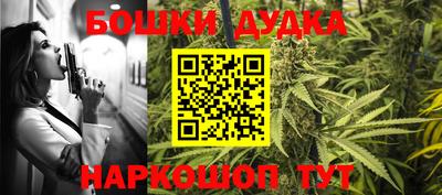 дурь Гай