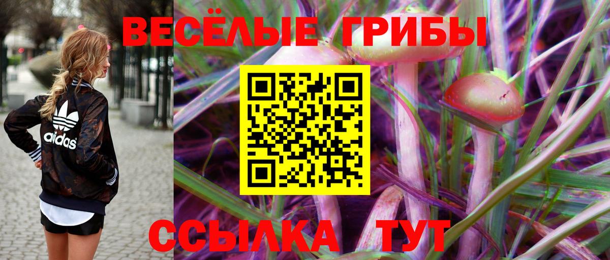 Псилоцибиновые грибы Cubensis  Ростов-на-Дону  купить наркоту  Галлюциногенные грибы мухоморы 