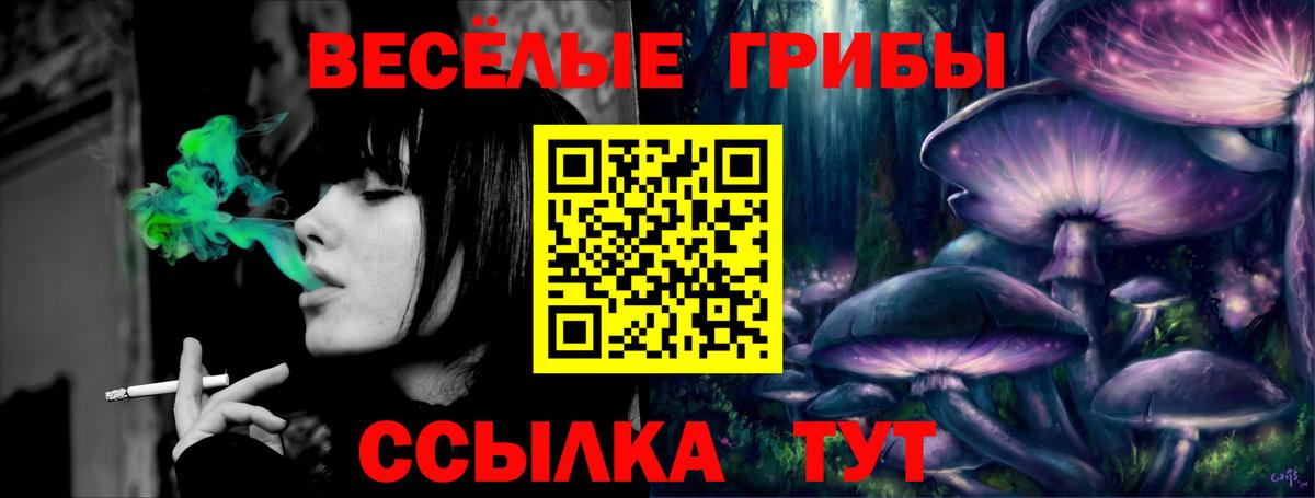 Галлюциногенные грибы Cubensis  Вход с VPN  Ростов-на-Дону 